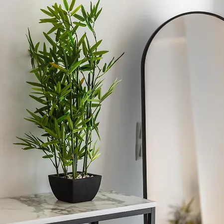 Superstudio Pop Art By Binobi! *